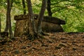 Ancient megalith dolmen among trees in an autumn grove