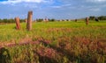 Ancient Megalith stela field in Axum at Tigray, , Ethiopia