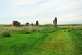 Ancient megaliths standing in the endless steppe, surrounded by thickets of tall grass