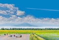 ancient method farmer practice to the plantation,the bicycle, green paddy rice field with beautiful sky cloud,