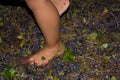 ancient method to produce wine in which feet crush the grapes af