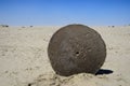 Ancient millstone Royalty Free Stock Photo