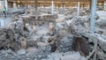 Ancient Minoan Ruins at Akrotiri Royalty Free Stock Photo