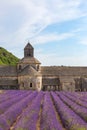 An ancient monastery Abbaye Notre-Dame de Senanque