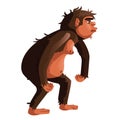 Ancient monkey, human ancestor illustration