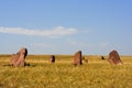 Ancient monuments of Khakassia. Variant one. Royalty Free Stock Photo