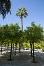 Ancient moorish Andalucian style to create symmetric orange tree gardens, south of Spain