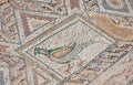 Ancient mosaic in Kourion, Cyprus Royalty Free Stock Photo