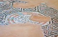 Ancient mosaic in Kourion, Cyprus Royalty Free Stock Photo