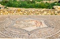 Ancient mosaic at Volubilis, Morocco Royalty Free Stock Photo