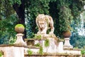 Ancient mossy overgrown lion stone sculpture statue in Borghese park on the way to the Villa Borghese