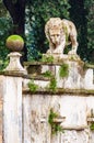 Ancient mossy overgrown lion stone sculpture statue in Borghese park on the way to the Villa Borghese