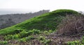 Ancient mound near Jurassic coast