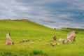 An ancient mound in the steppes of Khakassia