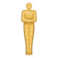 Ancient mummy icon, cartoon style Royalty Free Stock Photo