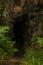 Ancient, mysterious, dark stone cave in the mountains of Norway on the background of green ferns