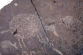 Petroglyphs at Boca Negra at Petroglyph National Monument in Albuquerque, New Mexico,USA