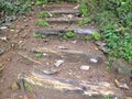 Ancient natural wooden steps outdoor