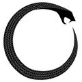 Ancient occult alchemical symbol snake eating tail ouroboros