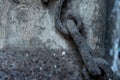 Ancient old chain concept in focus, wallpaper, background