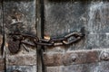 Ancient old chain with lock concept on old door, wallpaper, background Royalty Free Stock Photo