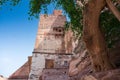 Ancient old tree and Jharokha, stone window projecting from the wall face of a building, in an upper story, overlooking Mehrangarh