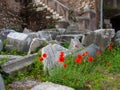 Ancient open-air Theatre of Marcellus in Rome Royalty Free Stock Photo