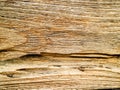 ancient of outdoor wooden surface crack damage and line by tempu