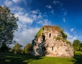 Ancient overgrown stone temple Royalty Free Stock Photo