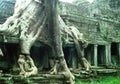 Ancient overgrown temple