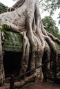 Ancient overgrown temple Royalty Free Stock Photo