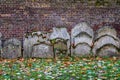 Ancient Overgrown Tombstones And Graves Placed Relocated Against Brick Wall At Churchyard Garden On Autumn Morning