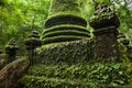 Ancient pagoda and beautiful moss, Alongkorn Chedi Pagoda located in tropical forest of Namtok Phlio National Park, Chanthaburi, Royalty Free Stock Photo