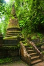 The ancient pagoda in the tropical forest in rainy season