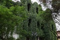 Ancient palace covered with ivy in Santiago, Chile Royalty Free Stock Photo