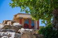 The ancient palace of Knossos on the Greek island of Crete focus on the leaves from the tree Royalty Free Stock Photo