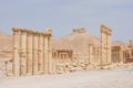 Ancient Palmyra, Syria