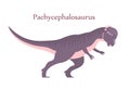 Ancient pangolin pachycephalosaurus on a white background