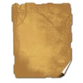 Ancient parchment texture