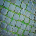 Ancient pavement in Rome vintageeffect. Stone roadway with grass growing through.