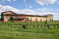 Ancient peasant house surrounded by its vineyard in Franciacorta - Italy