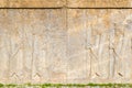 Ancient persian carving in Persepolis