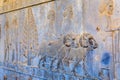 Ancient persian carving in Persepolis