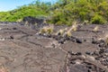 Ancient Petroglyph Carved Into The Lava Flows on Anaeho\'omalu Bay