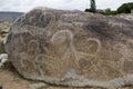 Ancient petroglyph located in Cholpon Ata, Issyk-Kul, Kyrgyzstan Royalty Free Stock Photo