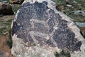 Ancient petroglyph - Reindeer on the stone Royalty Free Stock Photo