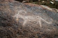 Ancient petroglyph on the stone Royalty Free Stock Photo