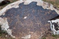 Ancient petroglyph on the stone