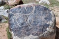 Ancient petroglyph on the stone