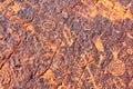 Ancient petroglyphs carved on sandstone rock in American Southwest desert Royalty Free Stock Photo